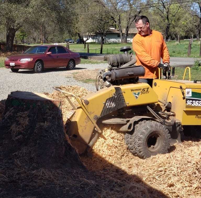 Operator in a safety-orange shirt on a yellow Vermeer SC362, with chips piled in a residential yard